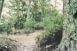 Her new looking pussy got permeated with a giant stick