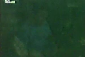 Slutty brunette hair skank acquires her unshaved poontang licked