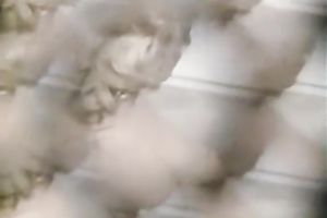 Sexy blond chicks feeling concupiscent for every other on the bed