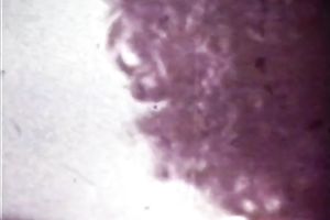 Two freaky retro milfs eat every other on the daybed