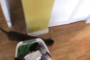 Bitch is getting sprayed with semen at the end on POV