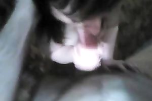 Blowjob from my diminutive and excited horny white wife on my POV video