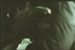 German classic dark brown milf giving head to her guy