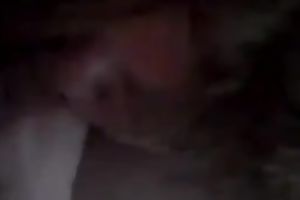 My big beautiful woman hawt whtie floozy gobbling my penis on POV movie
