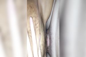 Amateur unsightly pale doxy BBC slut with excitement sucked dick in advance of taking it in cum-hole