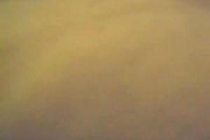 Me and my Japanese girlfriend adore preliminary petting