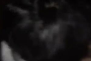 Dark haired marvelous and excited GF of my buddy can't live without giving him BJ