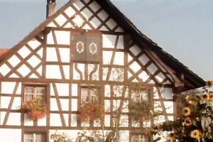 Rapacious ginger nymphomaniac masturbates and strips outdoors