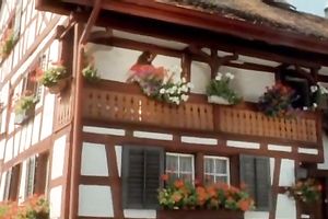 Rapacious ginger nymphomaniac masturbates and strips outdoors