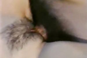 Busty white slut loved to receive her cum-hole screwed indeed hard