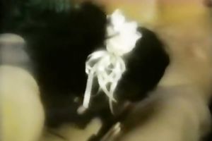 Pale skin dark brown chick enticed and fingered in the garden