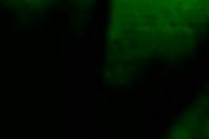 My barefaced girlfriend is a insane talented rod sucker