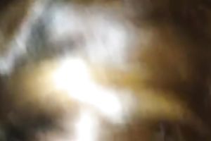 My Japanese lover sucks my shaft during the time that wearing sunglasses