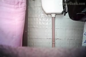 Chunky aged white woman in the biffy room filmed from front