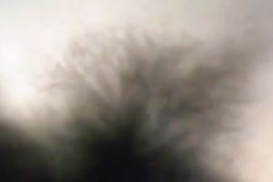 I fuck my concupiscent pale wifey's hirsute cookie missionary style properly