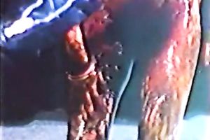 Freaky classic show with impure strumpets overspread in mud