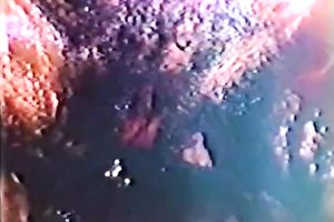 Freaky classic show with impure strumpets overspread in mud