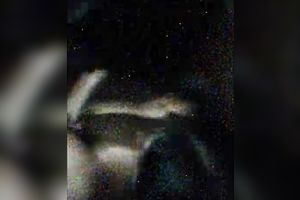 Dirty Indian doxy pleased 2 dudes with regular missionary style sex