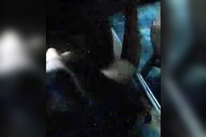 Dirty Indian doxy pleased 2 dudes with regular missionary style sex