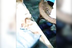 Dirty Indian doxy pleased 2 dudes with regular missionary style sex