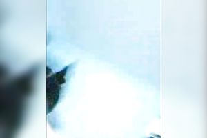 Dirty Indian doxy pleased 2 dudes with regular missionary style sex