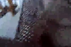 This exceedingly kinky floozy needs a worthy wet crack workout