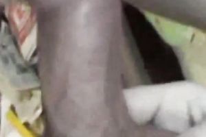 Sensual precious irrumation from white submissive non-professional girlfriend