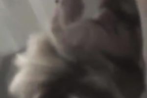 Auburn sweetheart of my buddy gave him HJ and rode his ramrod on top