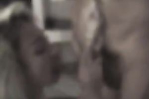 Auburn sweetheart of my buddy gave him HJ and rode his ramrod on top