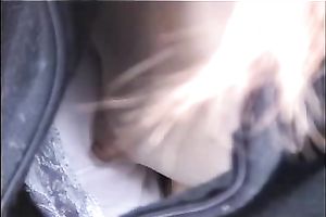 Why does that babe even wear a brassiere with tiny pointer sisters like hers