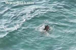 Sweet girlfriend and her guy were sunbathing nude on the beach