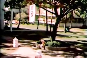 Sizzling golden-haired slut acquires her unshaved poontang licked