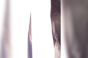 Chubby woman deepthroat my pecker like a pro