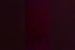 My perverted brunette hair wifey flashes her pointer sisters and lets me finger her a bit
