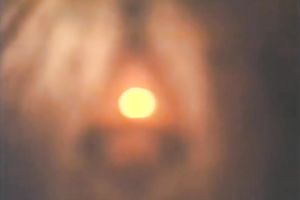 Cute brunette hair playgirl sucked dong and screwed in missionary position