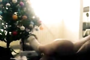 Banging excited whore in a missionary positions under the Xmas tree