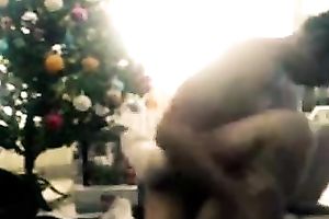 Banging excited whore in a missionary positions under the Xmas tree