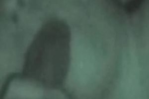 My wicked girlfriend sucks my swollen ramrod like a true wang sucker