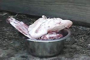 Mesmerizing blondie and brunette hair hottie make their chaps cum hard