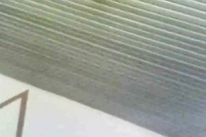 Busty 23 yo Romanian girlfriend gives me naughty blowjob