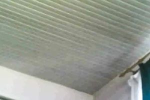 Busty 23 yo Romanian girlfriend gives me naughty blowjob