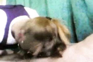 Busty 23 yo Romanian girlfriend gives me naughty blowjob