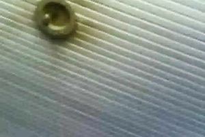 Busty 23 yo Romanian girlfriend gives me naughty blowjob