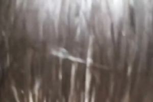 Blowjob foreplay helps me to acquire off each day and my GF is a penis slayer