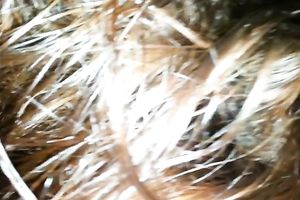 Not every hottie knows how to give a proper BJ