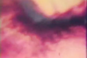 Two horny golden-haired chicks loved to share one large cock