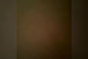 Wondrous black haired lascivious honey provides my schlong with BJ in the motel