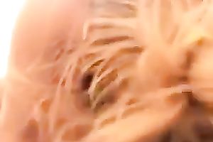 Perverted buxom natural older dark brown dirty slut wife of my neighbor sucks my dick