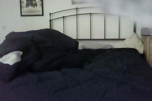 Bosomy dilettante brunette babe sucked my friend's meaty big ramrod