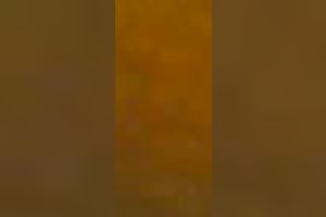 Cute and hot college housewife flashes topless on livecam for her boyfriend